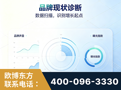 崇左-品牌现状诊断